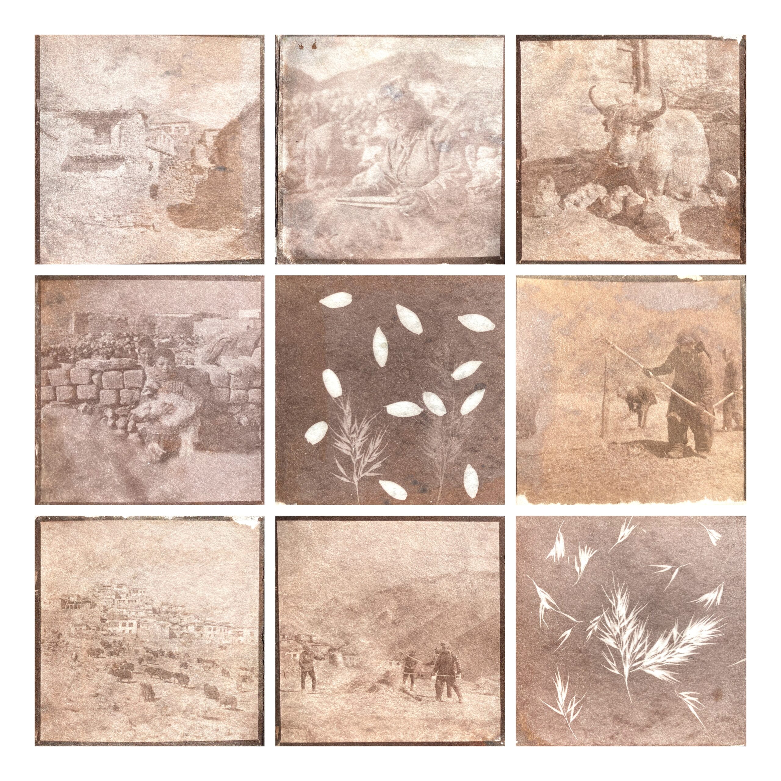 InCollage_20240718_210845494