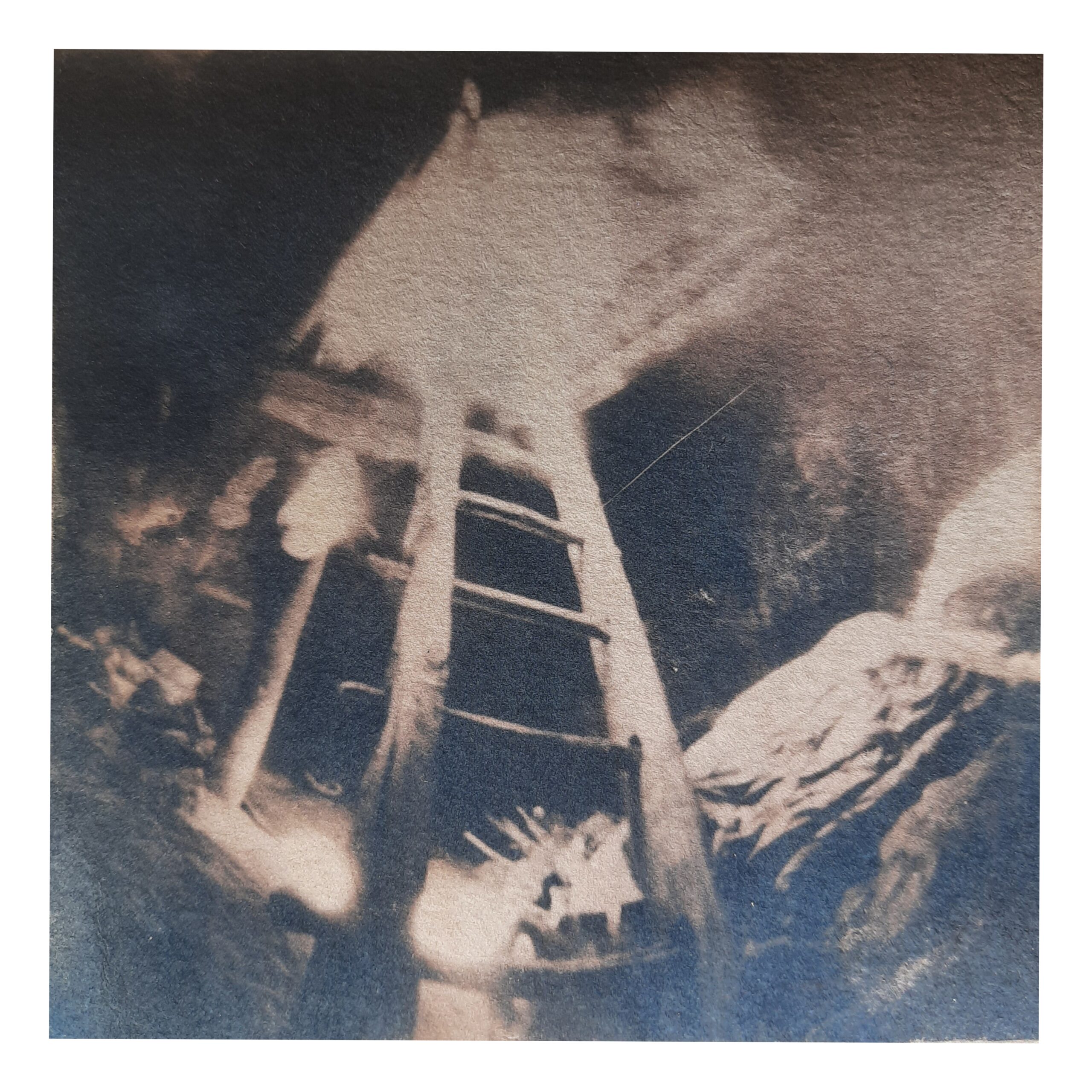 InCollage_20240804_114155598